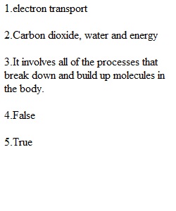 Quiz 20